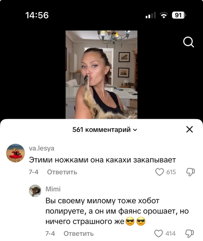 - , , , , , 