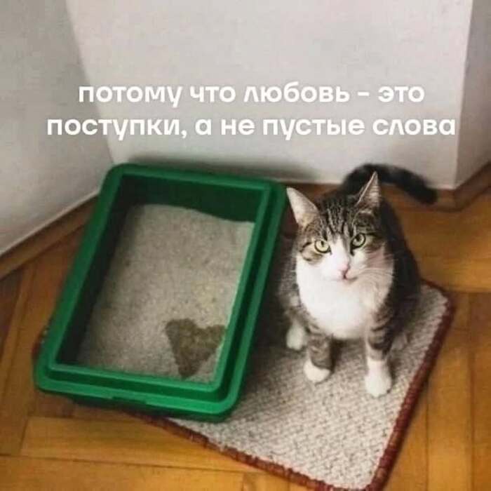   , 