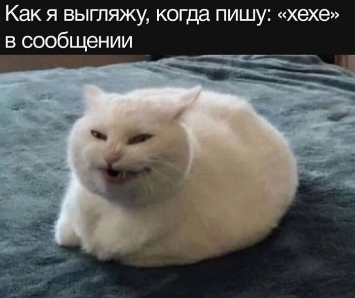  , ,  (),  