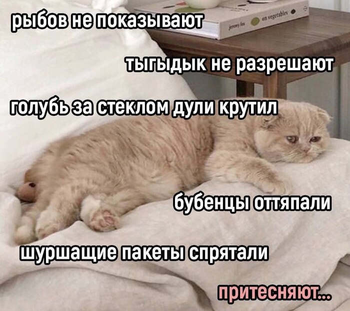  , ,   , , 
