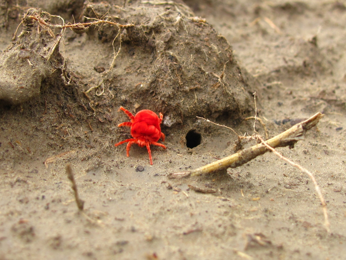 -         ,     -    .         .