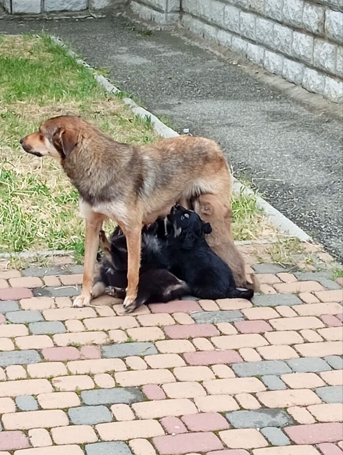 � ��� � �������� ��������� �������� ������