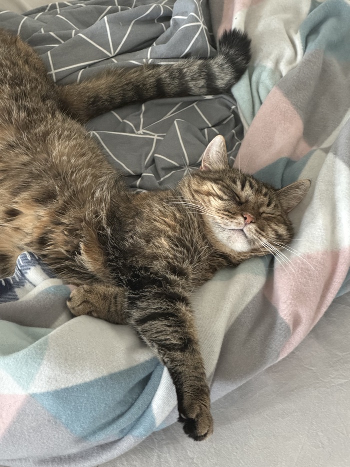 Ммм, как уютно, однако!