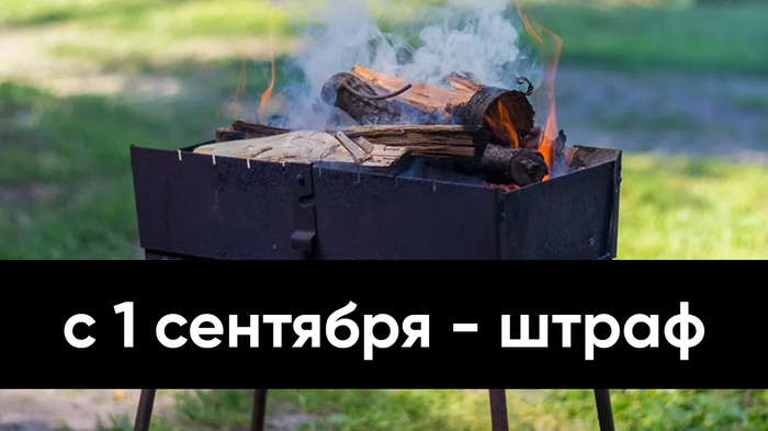 5 ,   1      (    ) -  -  