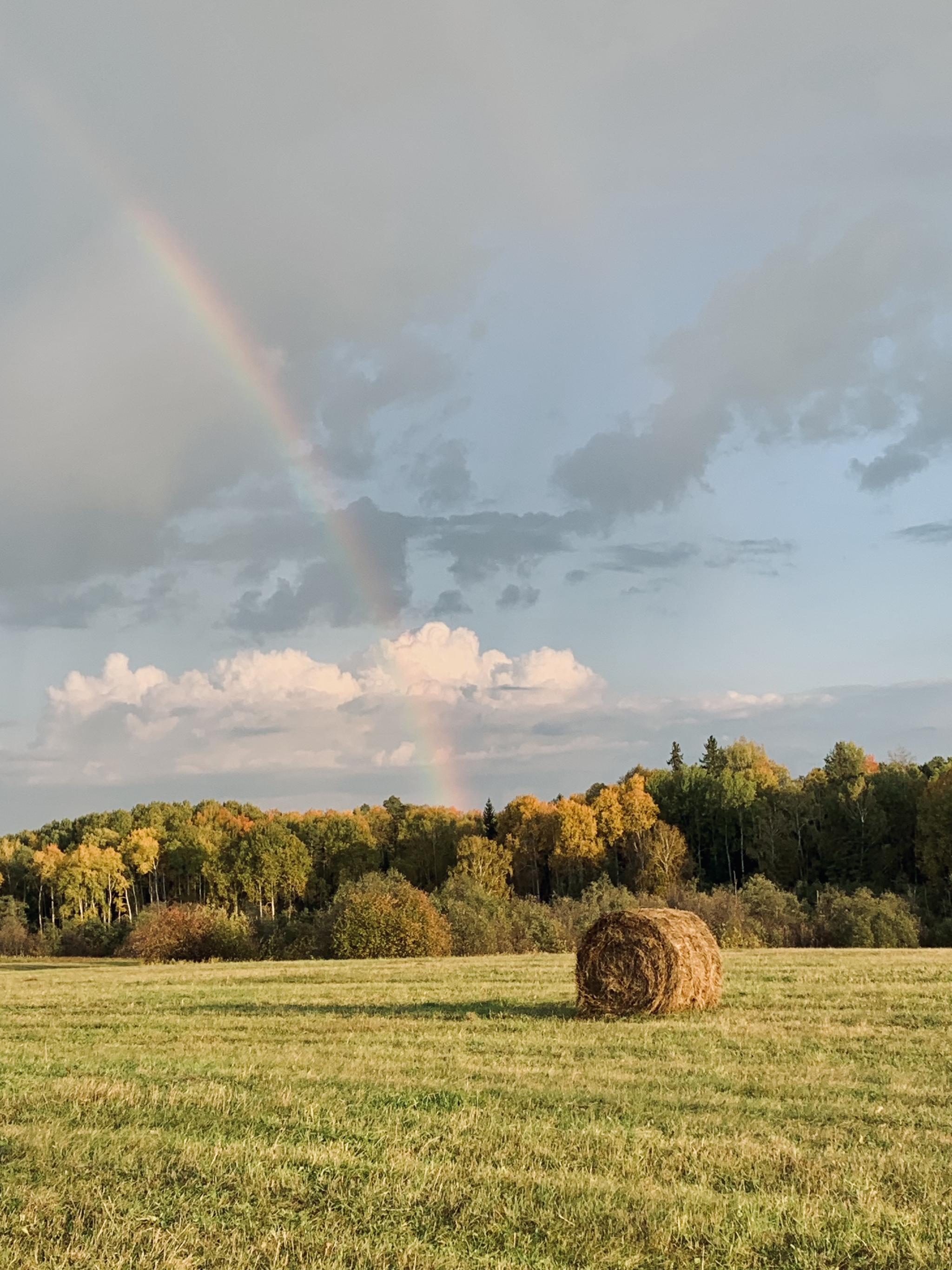 Field Rainbow - My, Rainbow, Hay, Field, Nature, Sky, Clouds, Mobile photography