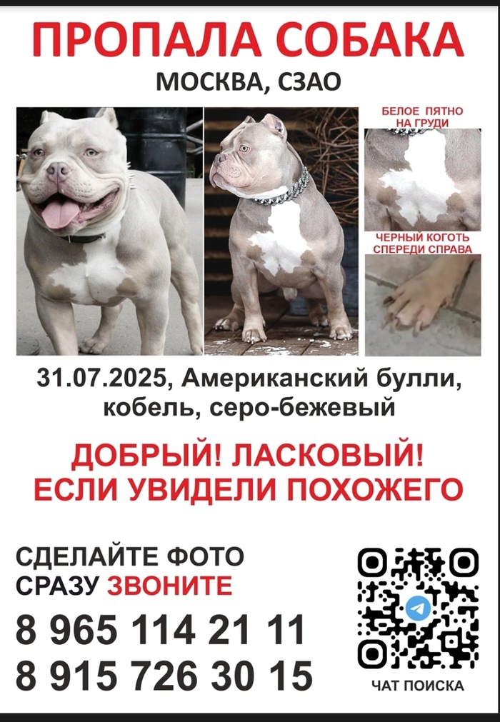 Пропала собака