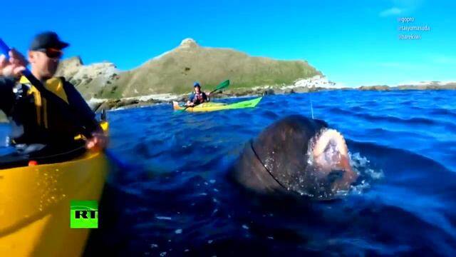 ������������