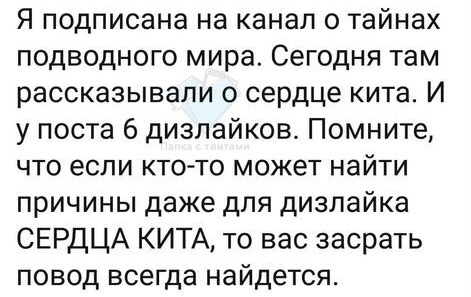 ��� ������ ���� � ����� �� �������