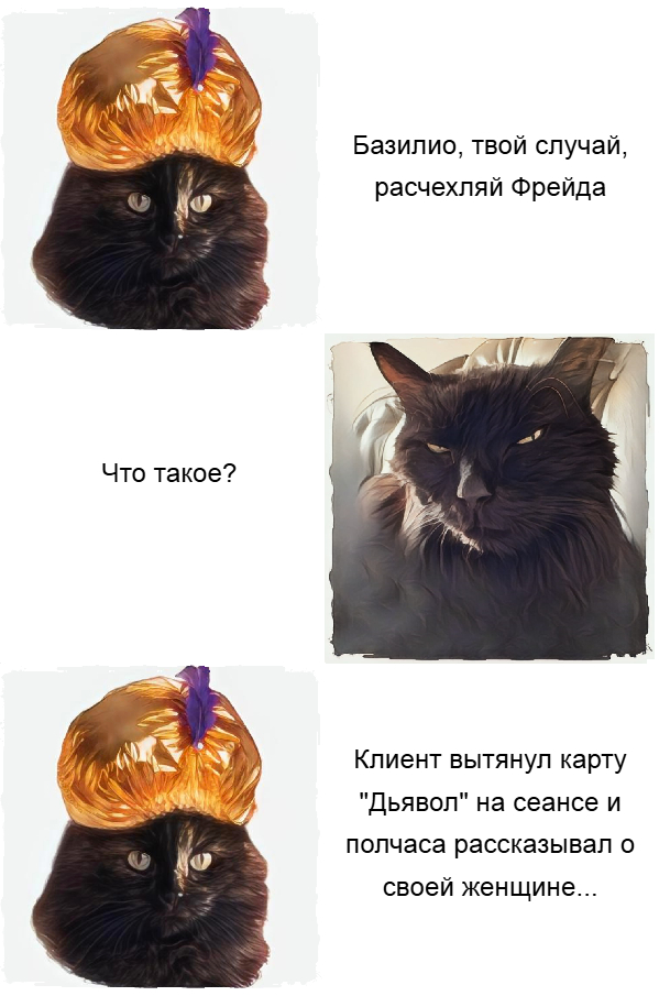  -   , , ,  ,   