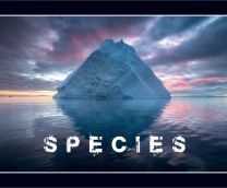 Species