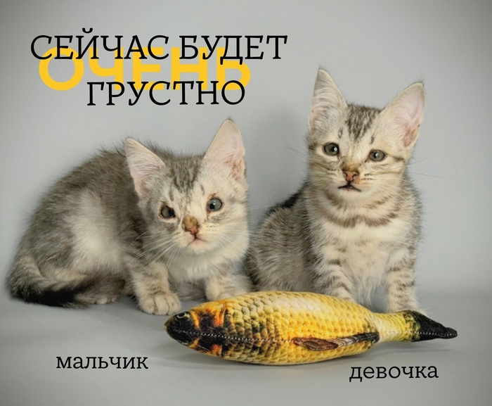 ""   : -   ? , , ,  , ,  , ,  , , , ,  ,  , 