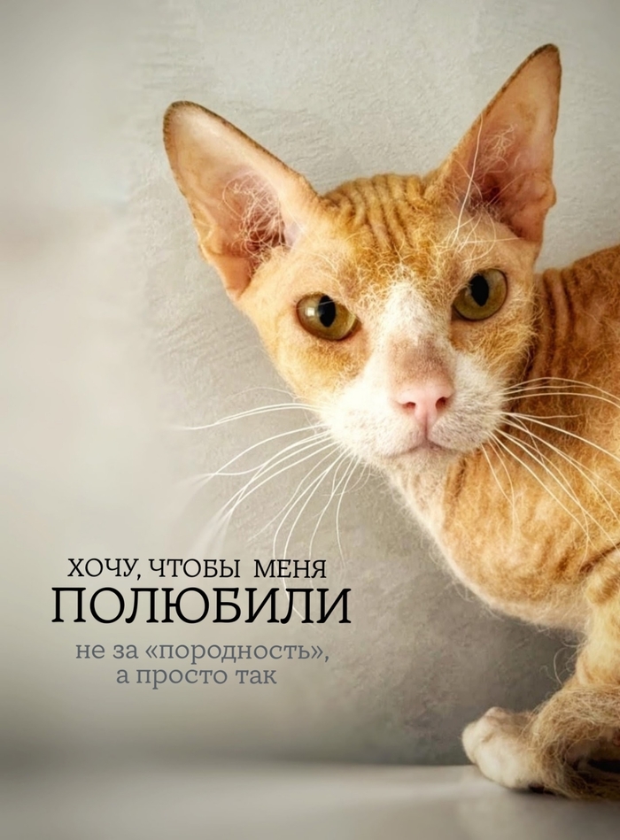  ,      ,   ...      , ,  ,  ,   , , -, 