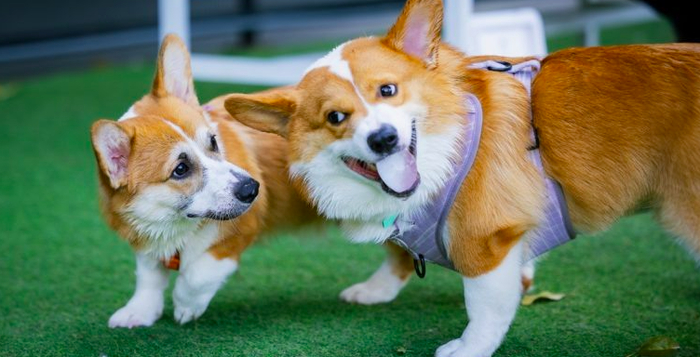 ����� ����� � �������� � ��� ��� �� �����, ��� �������� �� ����