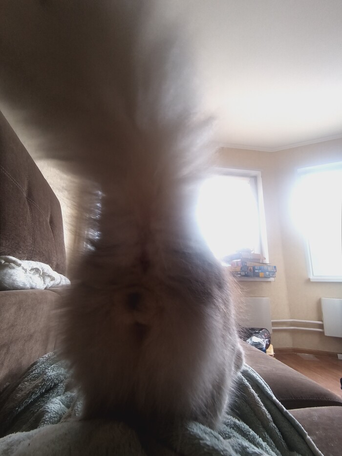 С чего начинается каждый мой день