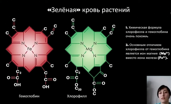    ! , , , , , ,   , YouTube (),  