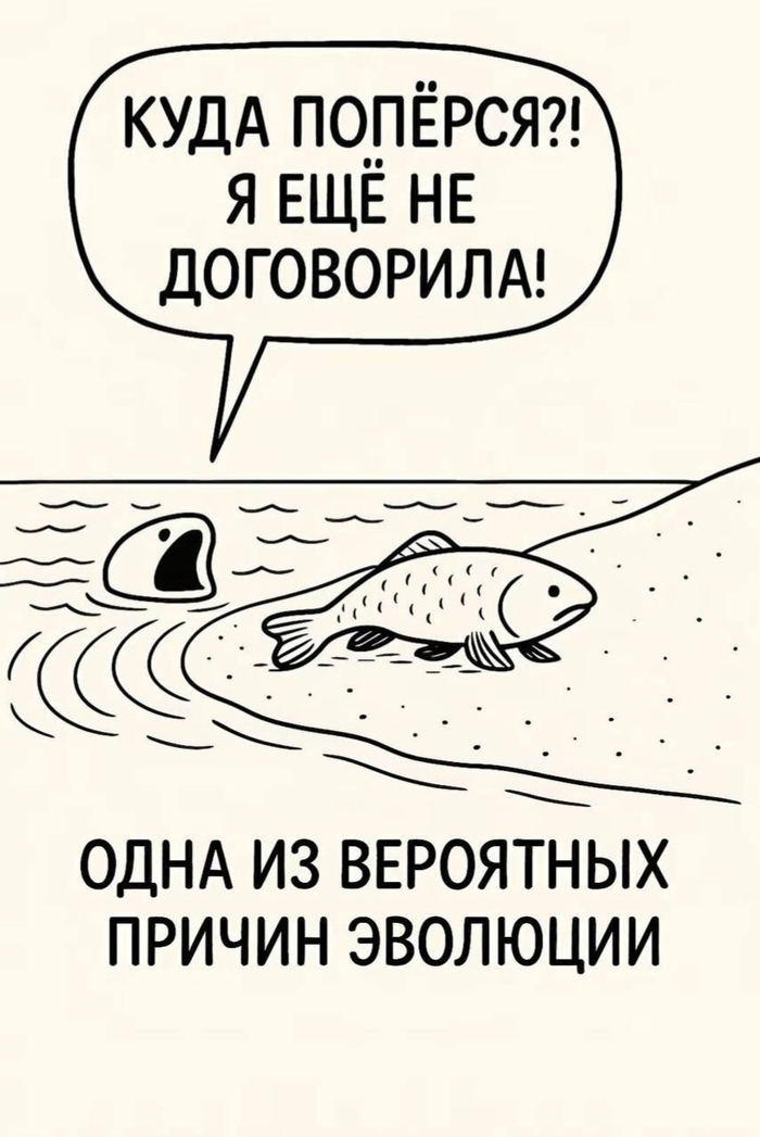    ,   , , 