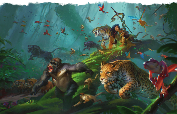 [DnD 2024, ]  2025 v0.555 DnD 5,   , Dungeons & Dragons, , ,  ,  , 