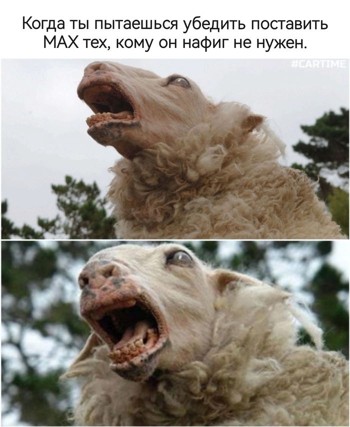     ...  MAX, , ,   ,   