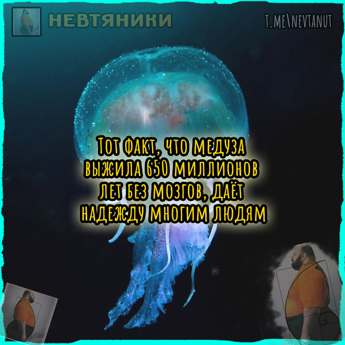     , , Telegram ()