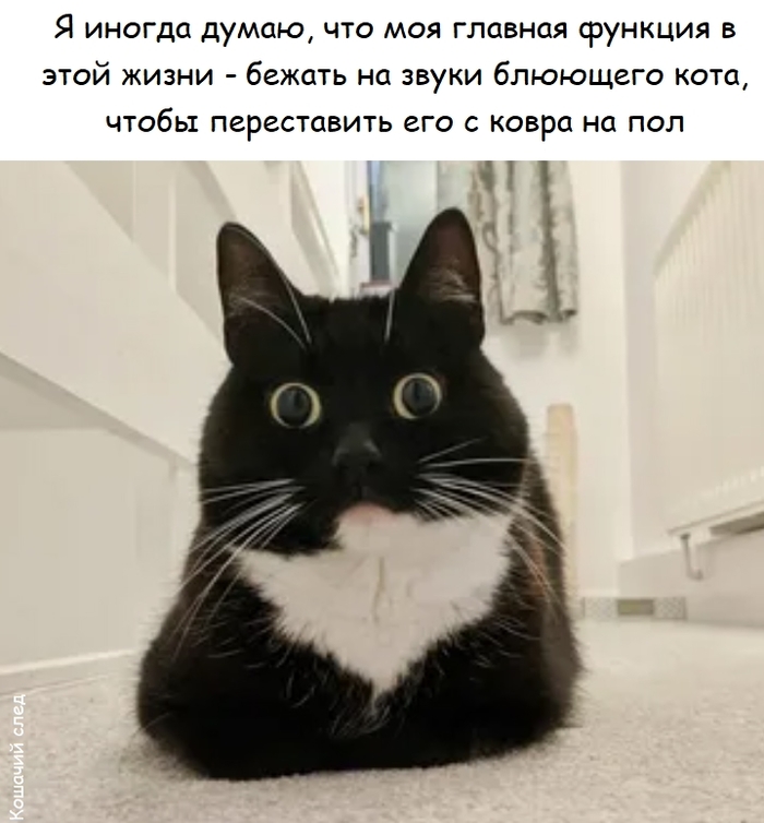    ,  (), , ,   