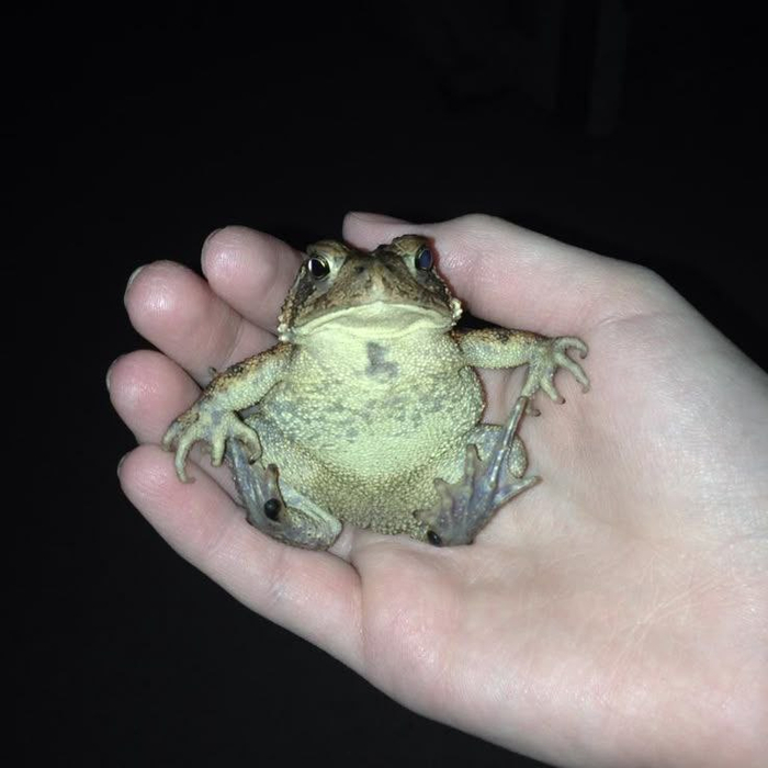 Пришла среда