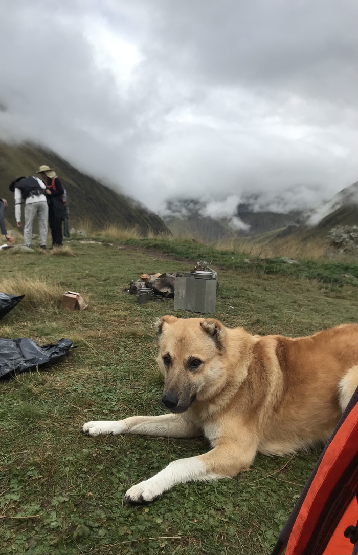 ϸ   ,      .  2019     .    .