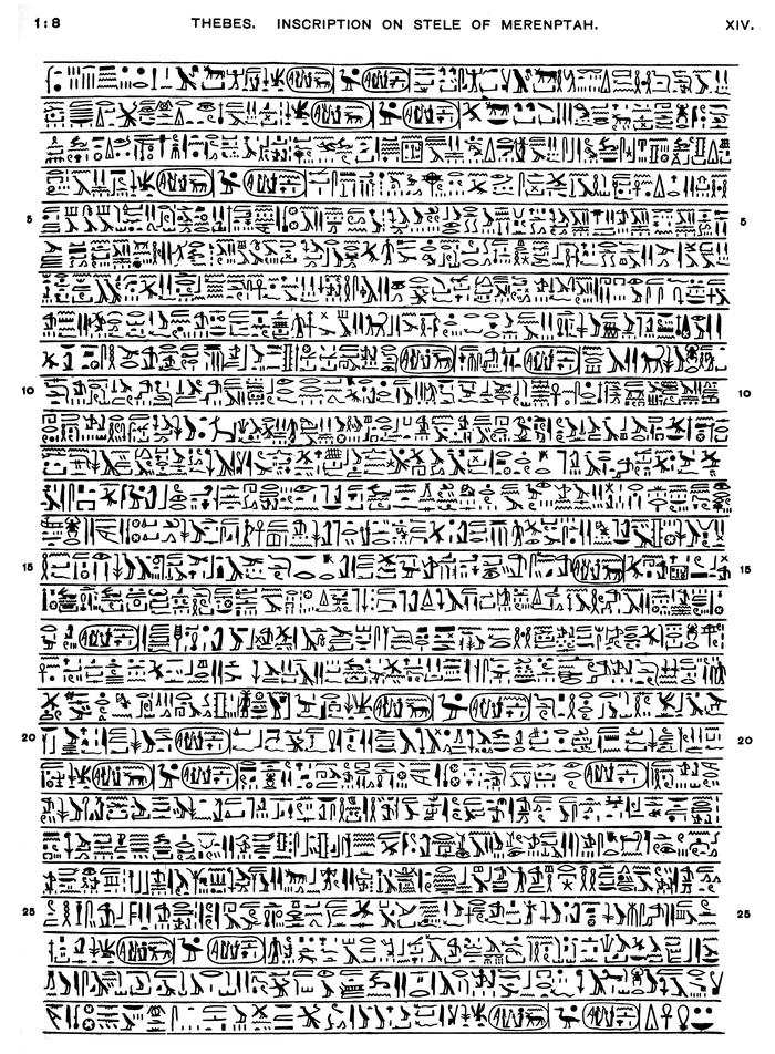     :     , , ,  (), , ,  , , , , , , , 