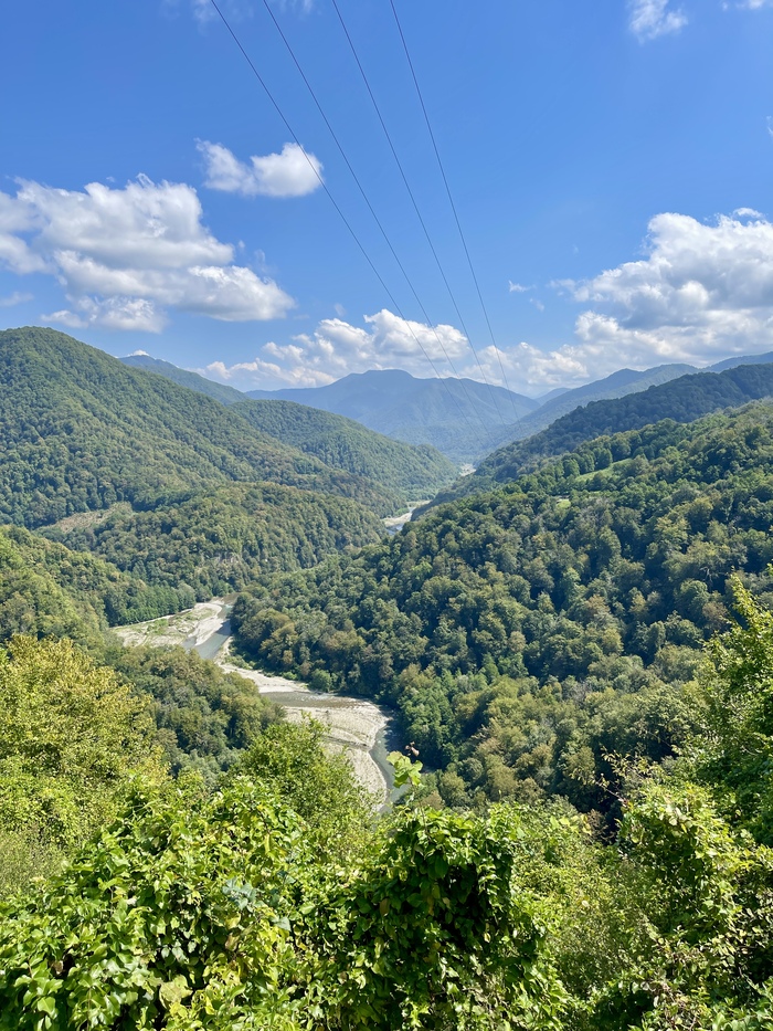 ���� ����