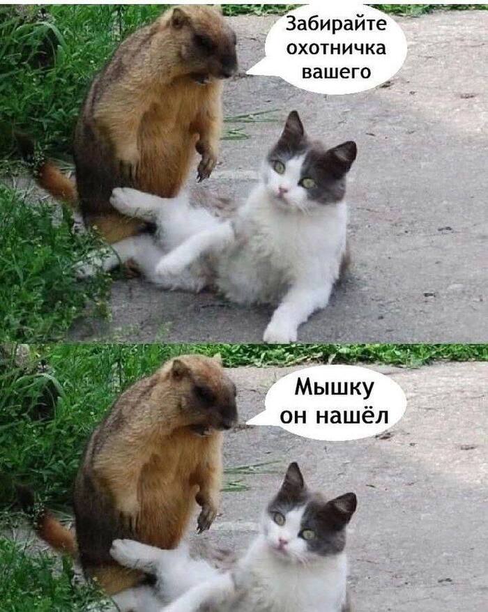     , , , ,   ,  , 