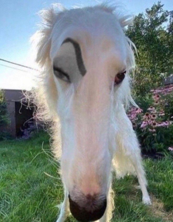   ?   , , ,  ,  , ,  