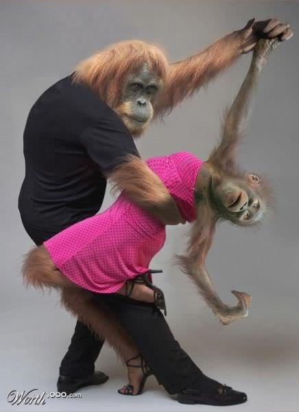    ,   , ,  , , 