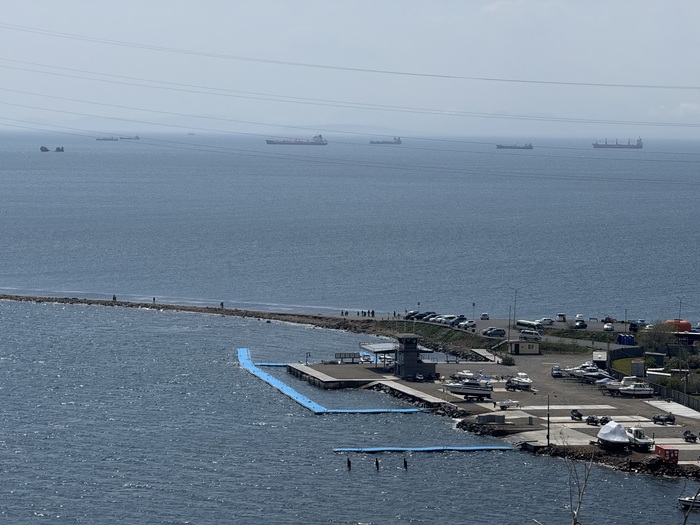 Виды из Octopus