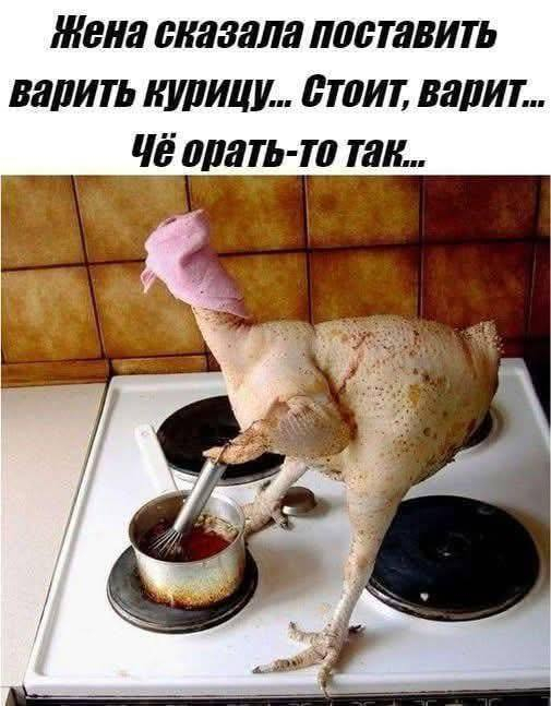  ,  -    , , , ,  , 