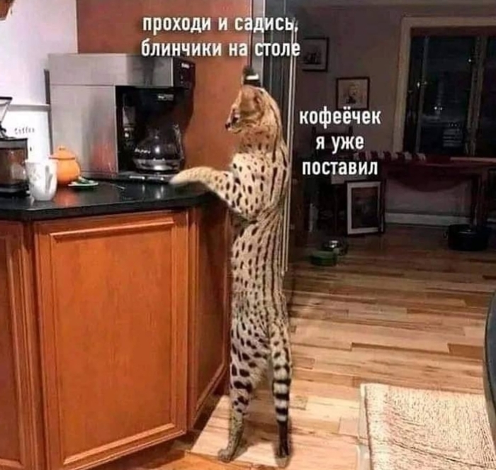    , , ,   