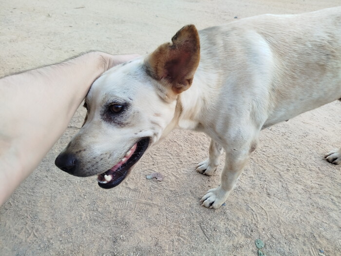 ������� ��� ����� �������