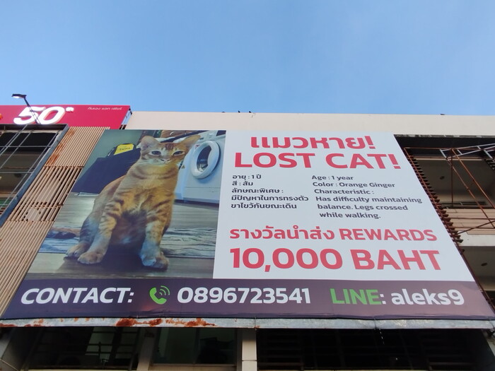 ����� ������� �������������, ���� �� ������ ������ ������ �����