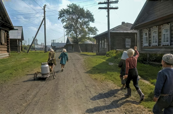 ����: ���� ������