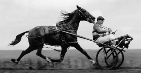 Задний привод