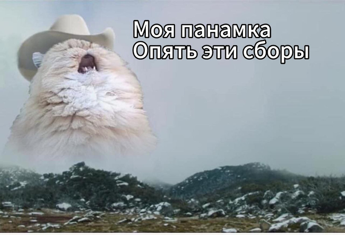 И всё таки, почему пауэрлифтинг, а не фитнес?