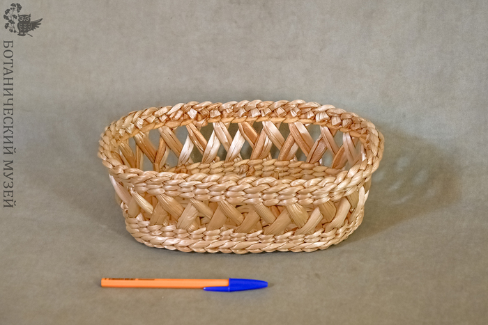 Корзиночка из чакана. Из фондов Ботанического музея БИН РАН.