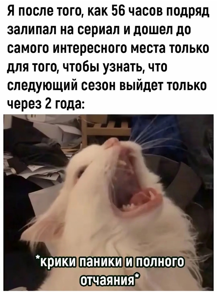    ,   , Telegram (), , 