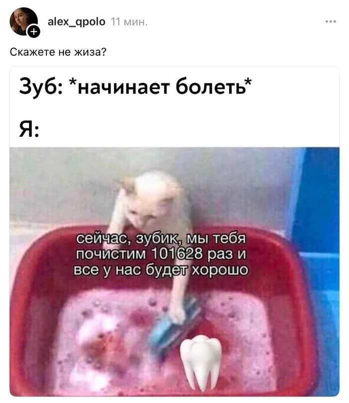 fkqfkpvp.webp