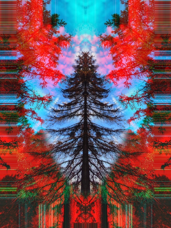   , , ˸ , 