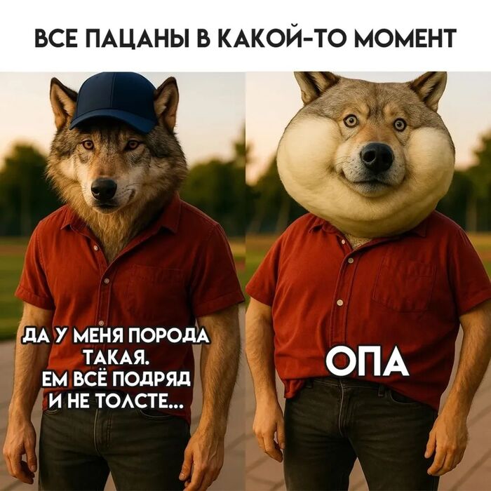 -    [:|||:] ,  ,   , ,  , , 