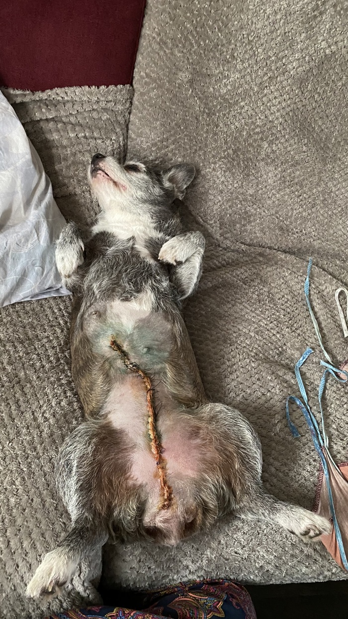 ����� �����