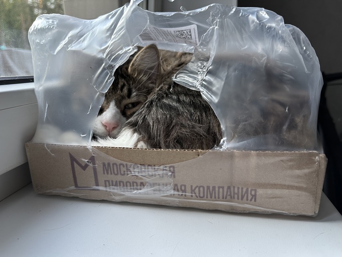       , , ,   , 
