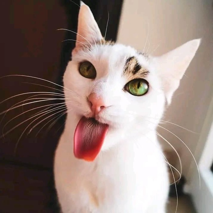  , , 