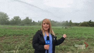 Женский образ в гифках Гифка, Ассорти, Девушки, Длиннопост