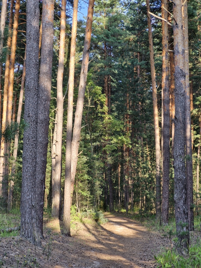        ,   , , , ,  , , 