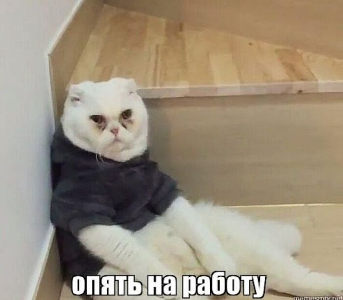    ? , , 